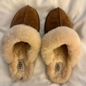 Authentic Ugg Slippers